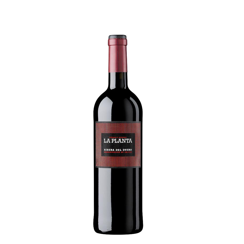 VINO LA PLANTA 750 ML