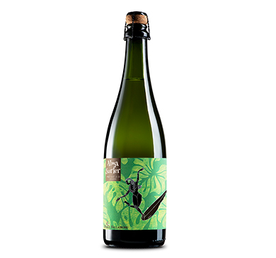 ESPUMANTE PABLO FALLABRINO ALMA SURFER 750 ML
